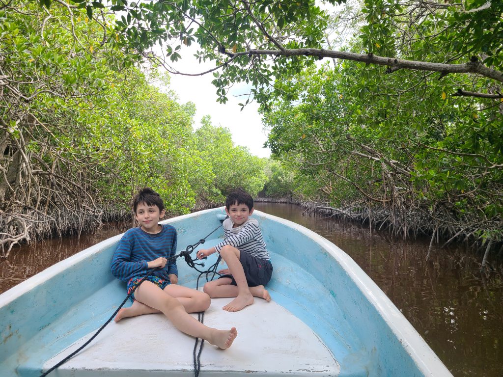 Capitaines dans la mangrove