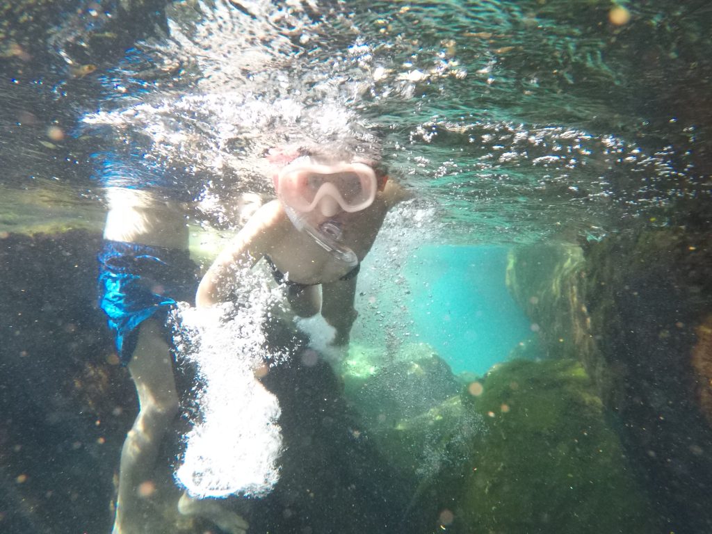 Pierrot nage dans l'eau turquoise