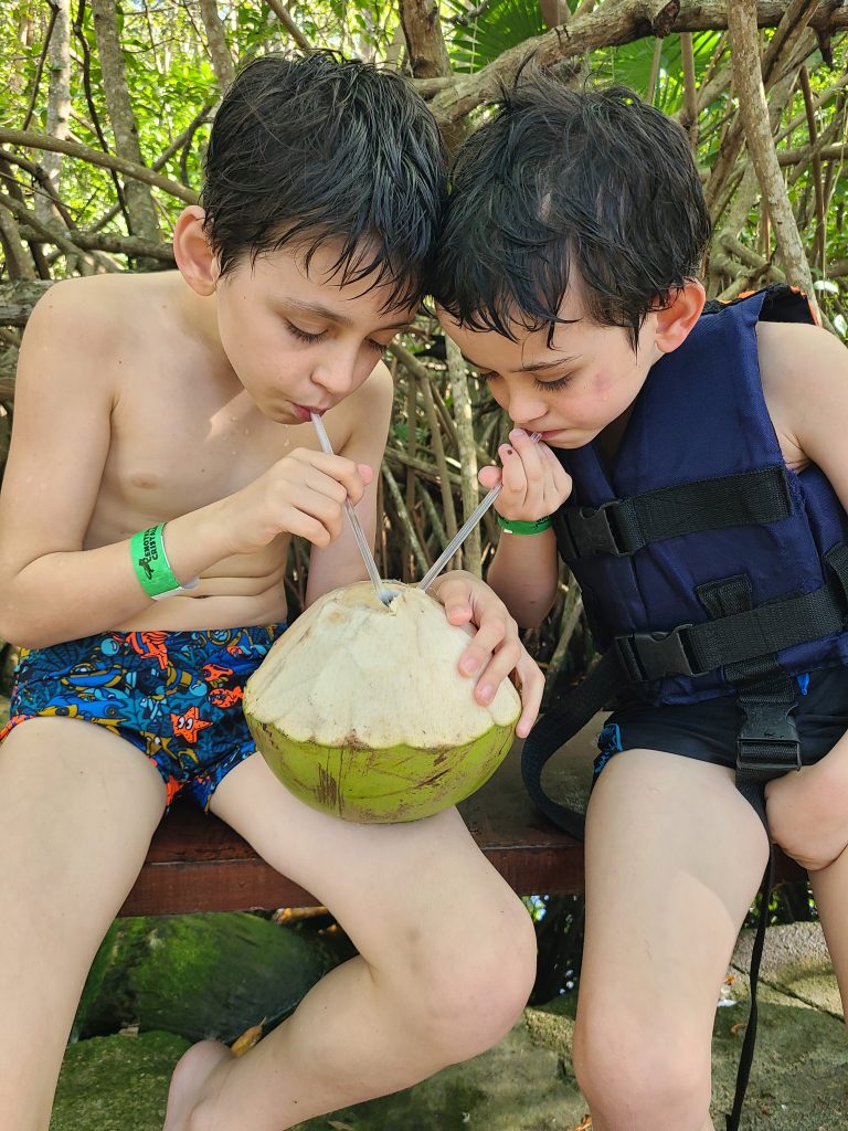 Nous avons bu de l'eau de coco