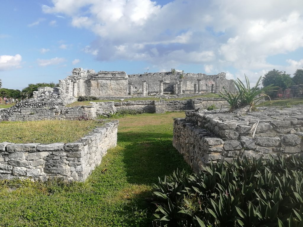 Champ de ruines