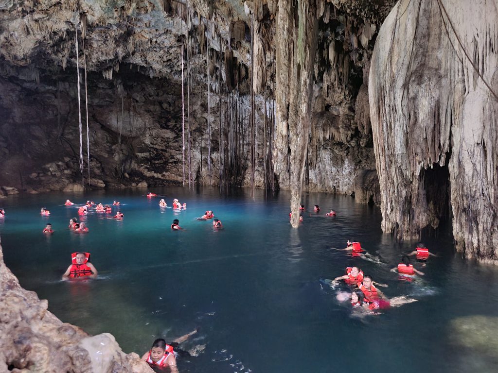 Stalactites et racines