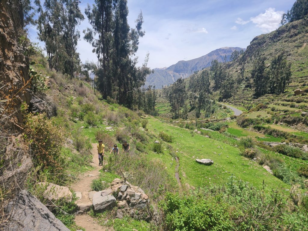 Perdus dans la montagne