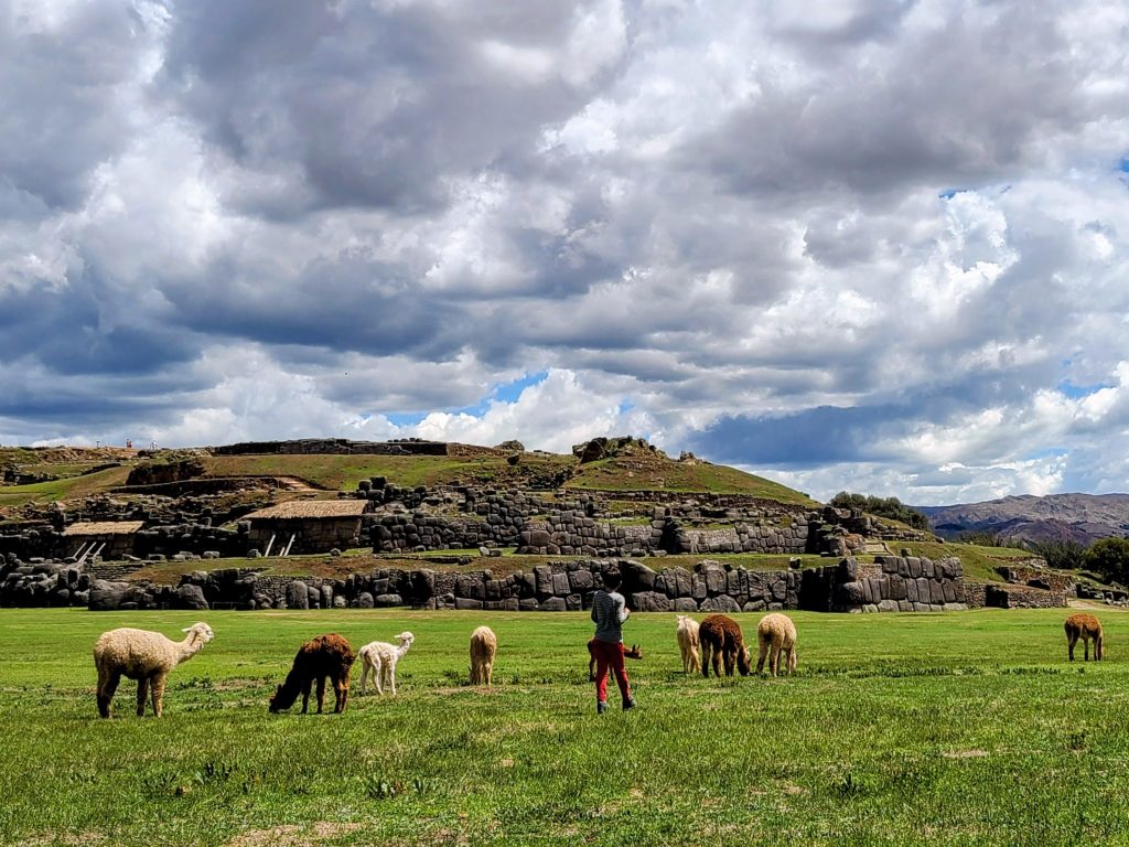 Devant les ruines incas