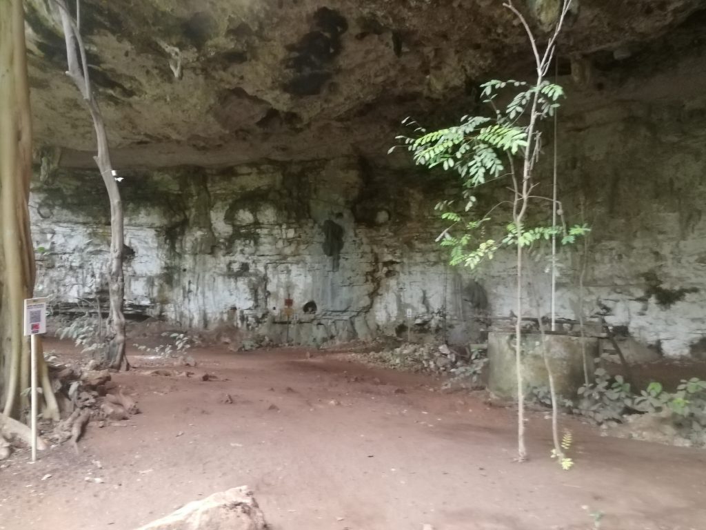 Dans la cenote