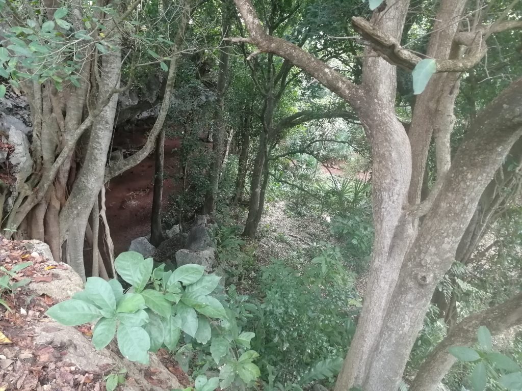 Cenote vue d'en haut
