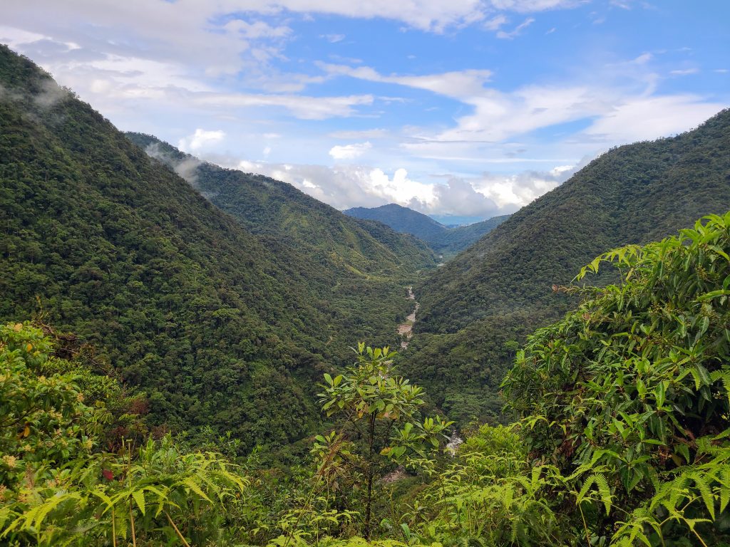 Au bout de la vallée, la jungle !