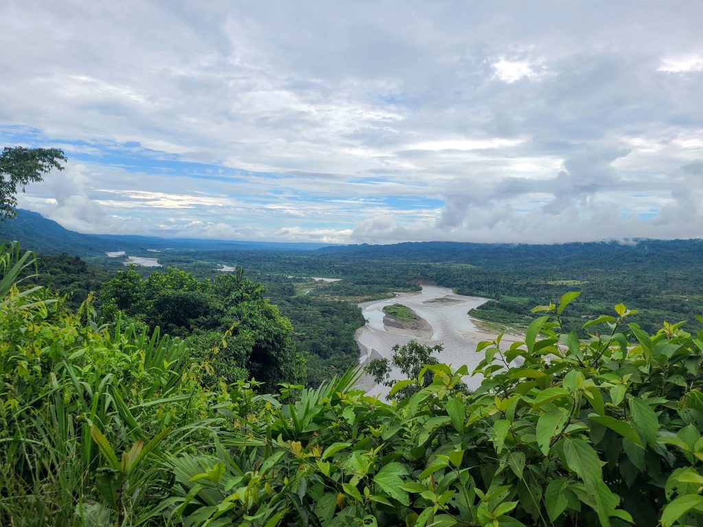 Notre rio chéri