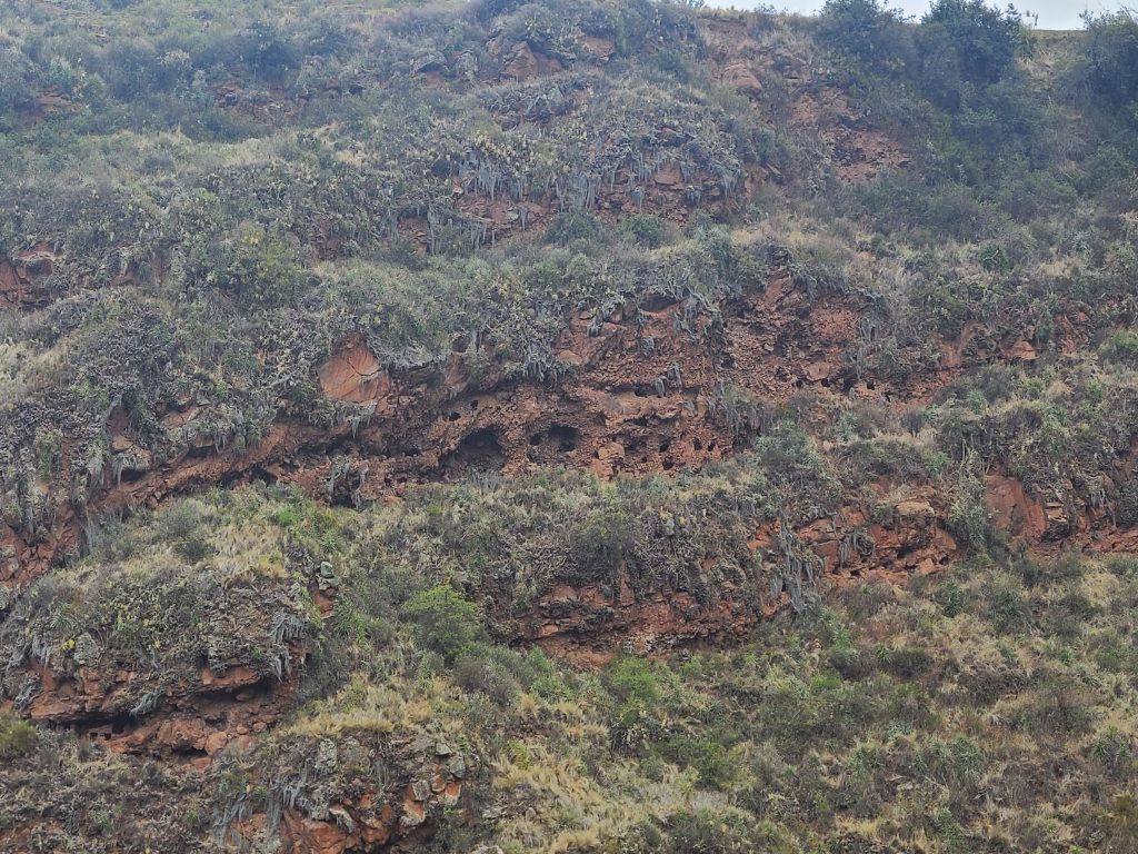 Tombes incas dans la falaise (petits trous)